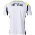 Borussia Dortmund Away Jersey 2025/26